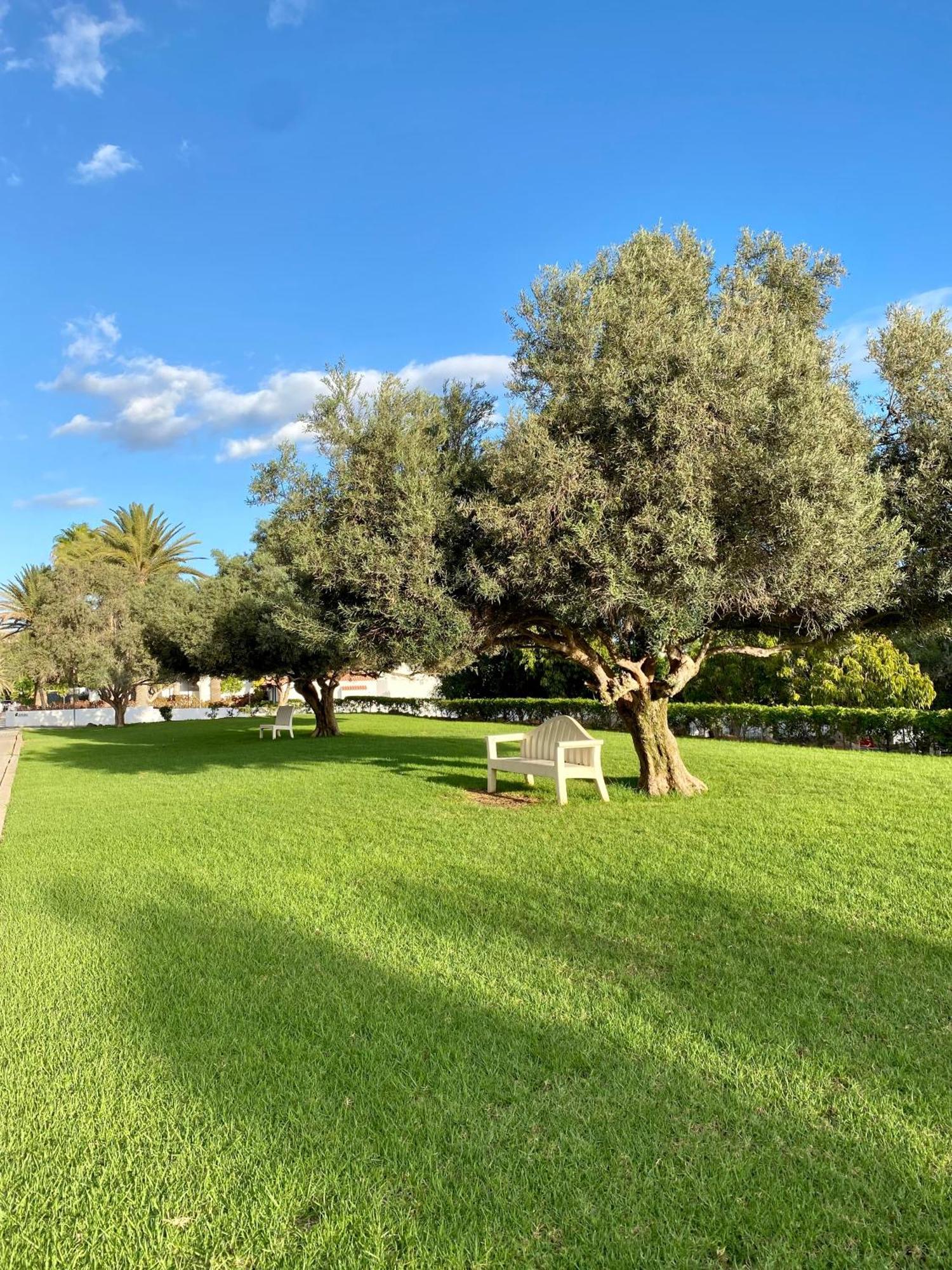Casa Con Terraza Y Piscina En Pasito Blanco, Cerca De Maspalomas Hébergement de vacances